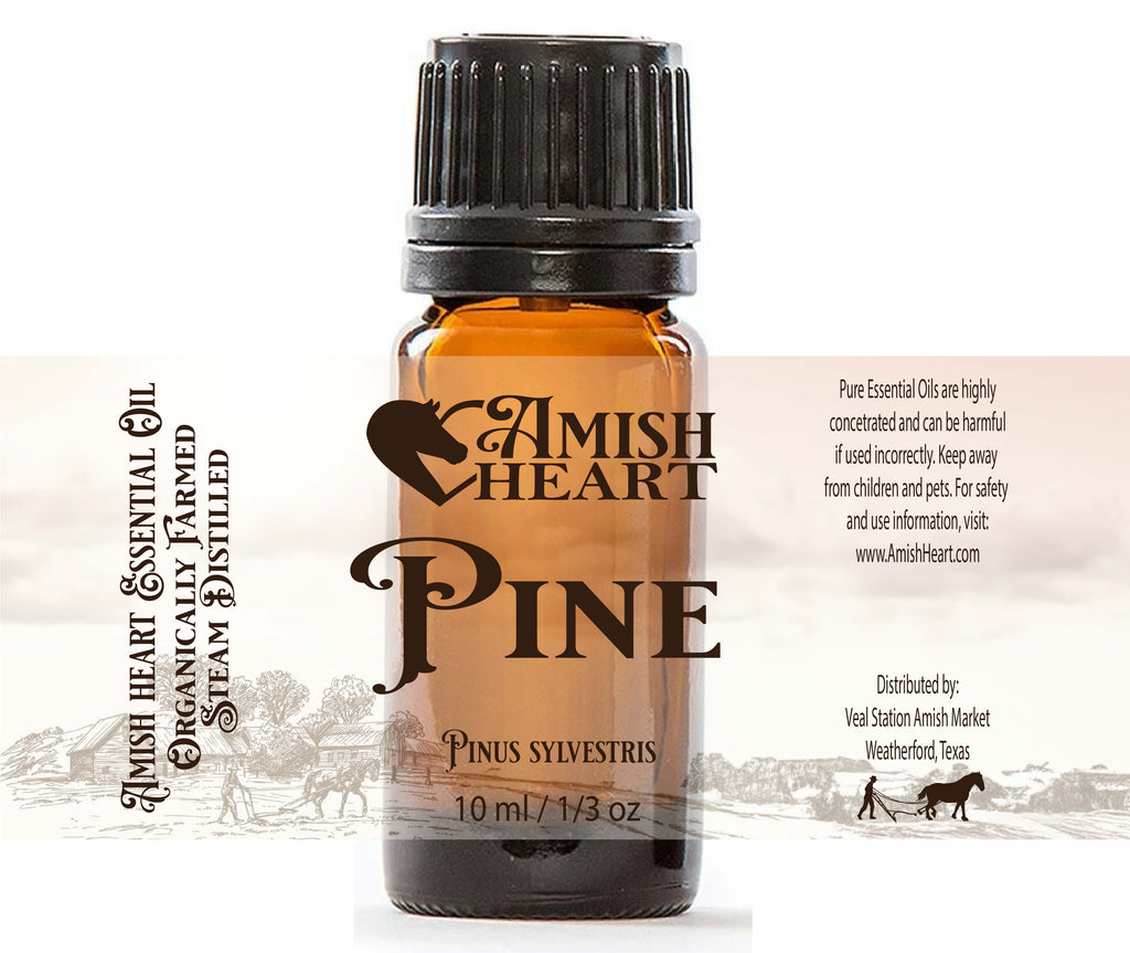 Pine Essential Oil