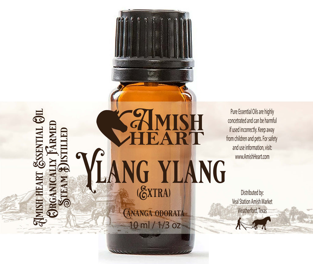 Ylang Ylang Essential Oil