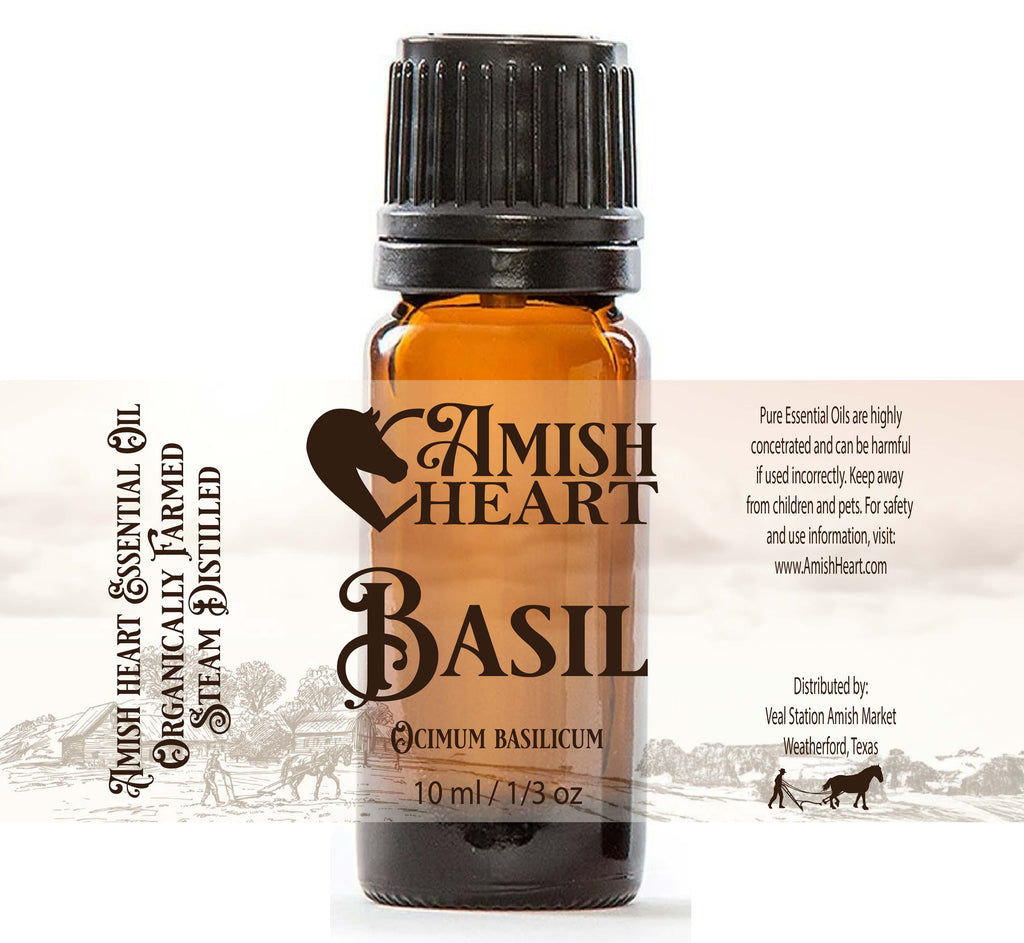 Basil Essential Oil | Amish Heart, showcasing its fresh, herbaceous aroma perfect for enhancing mental clarity and soothing the senses