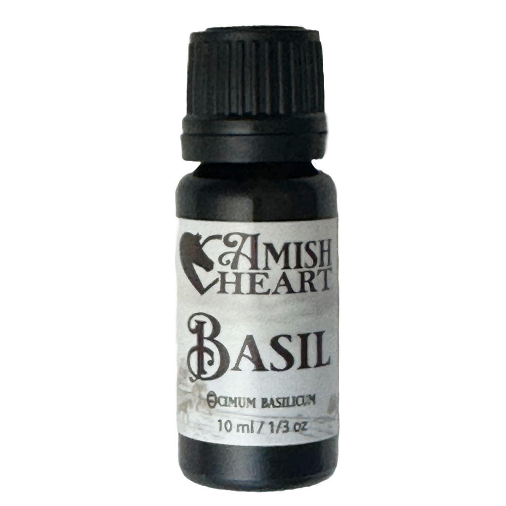 Amish Heart's Basil Essential Oil with a fresh, herbaceous aroma showcased in a clear bottle, perfect for enhancing mood and mental clarity