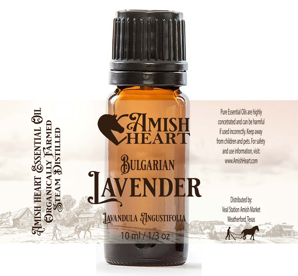 Bulgarian Lavender Essential Oil by Amish Heart in a 10ml bottle, showcasing its soft and sweet aroma perfect for therapeutic relaxation.