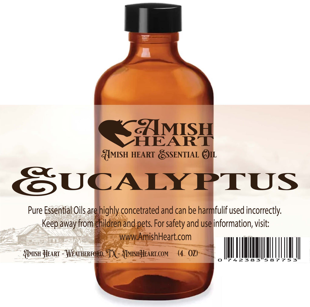 Amish Heart Eucalyptus Essential Oil, organic and therapeutic, offering powerful respiratory support and anti-inflammatory properties.