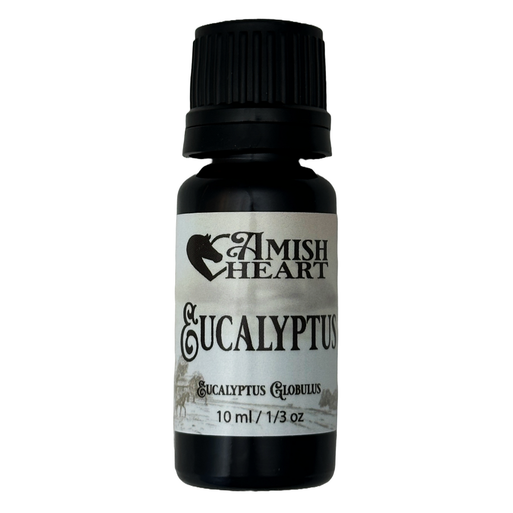 Amish Heart Eucalyptus Essential Oil, organic and therapeutic, offering powerful respiratory support and anti-inflammatory properties.