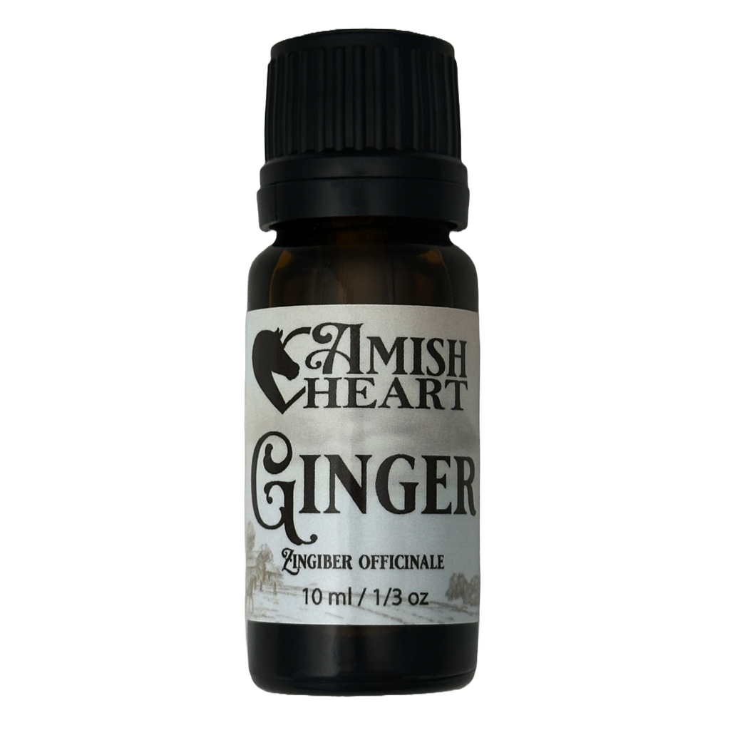 Amish Heart Ginger Essential Oil, 10ml bottle of organic and pure essential oil, ideal for digestive and respiratory support.