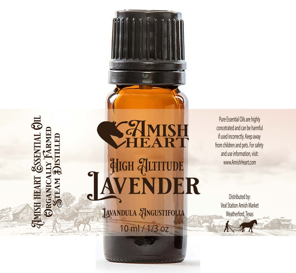 High Altitude Lavender Essential Oil by Amish Heart in a 10ml bottle, sourced from wildcrafted flowers in France for superior therapeutic benefits