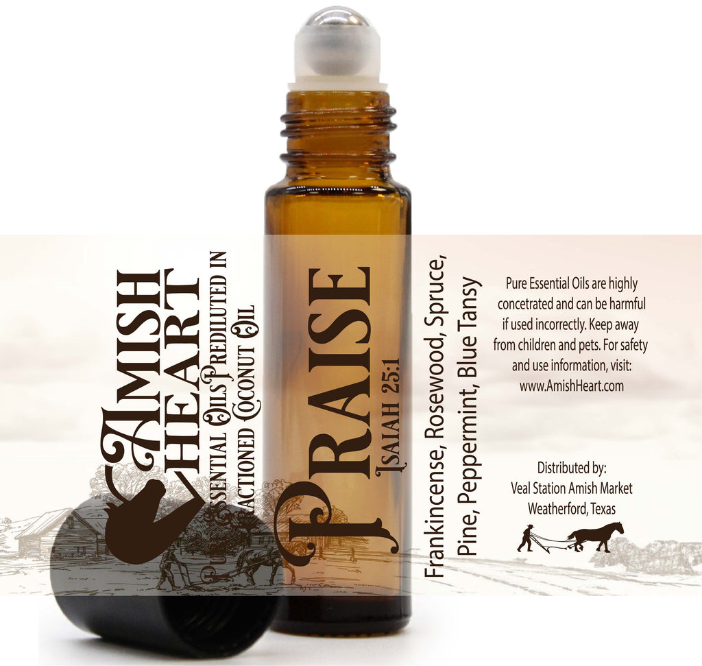 Praise Synergy Blend Roller by Amish Heart, infused with Blue Tansy, Frankincense, and other calming oils for easy topical application and emotional support.