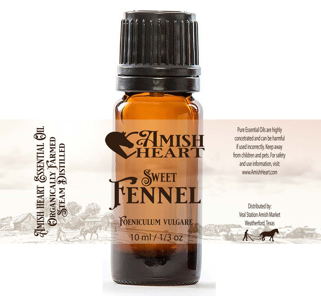 Sweet Fennel Essential Oil by Amish Heart, known for its digestive, respiratory, and detoxifying benefits.