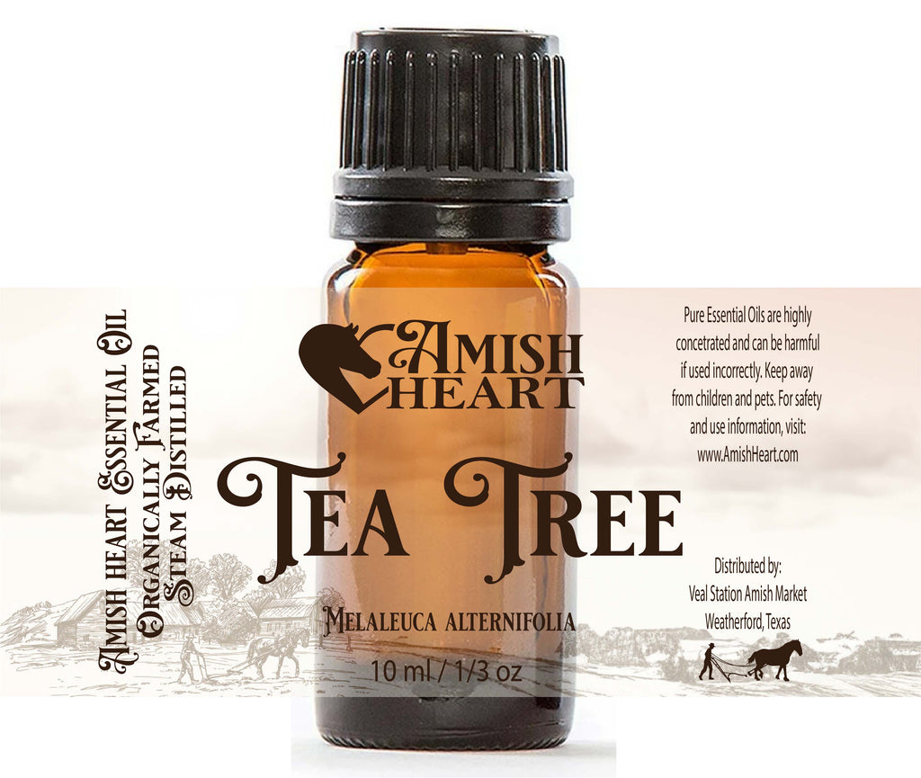 Organic Tea Tree Essential Oil by Amish Heart in a 10ml bottle, ideal for antiseptic, antibacterial, and antifungal uses.